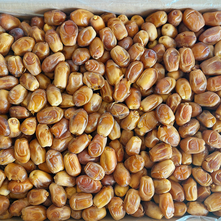 خرمای زاهدی